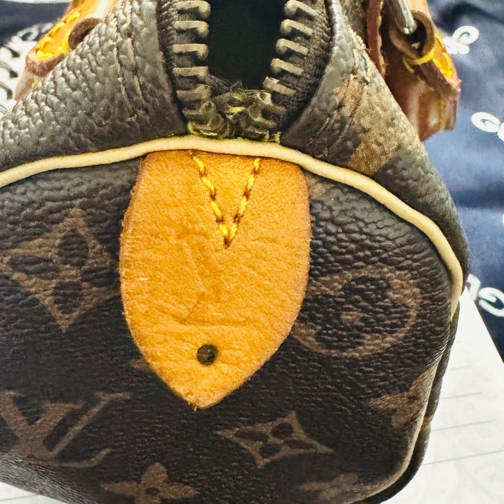 Louis Vuitton Brown and Tan Monogram Mini Bag